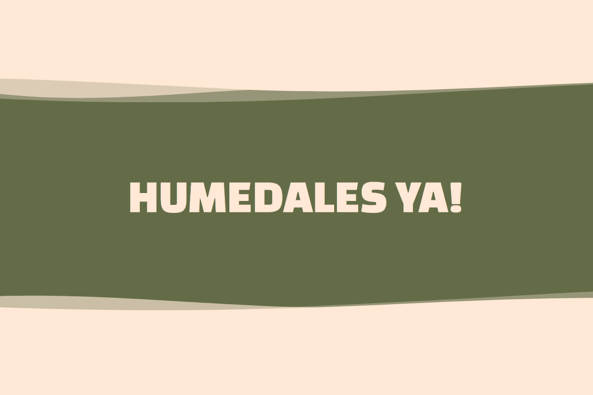 Diseño Web humedalesya.com.ar
